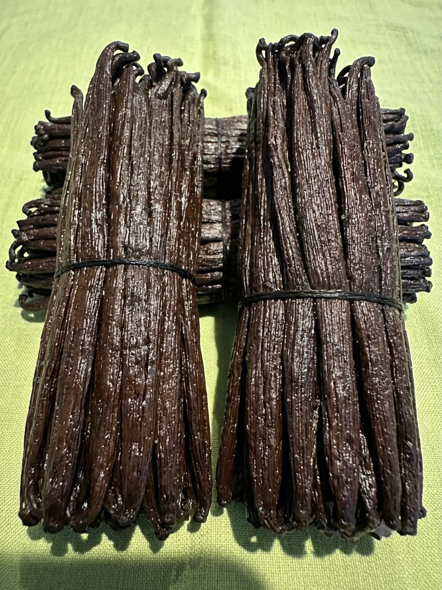 Gousses de Vanille Bourbon de Madagascar — Millésime 2025 17CM+